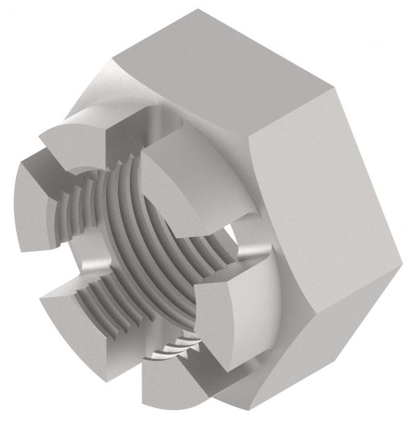 Knott Kronenmutter M 24 x 2, Grösse der Radbremse 200 x 30 / 200 x 50, für Typ 20-963/1, 20-964/1, 20-965/1, 20-966/1, VerglNr: D937005, 937005, D937.005