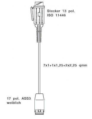 Hauptkabel 2000 mm mit ASS-Anschluss + 13-pol.Stecker 